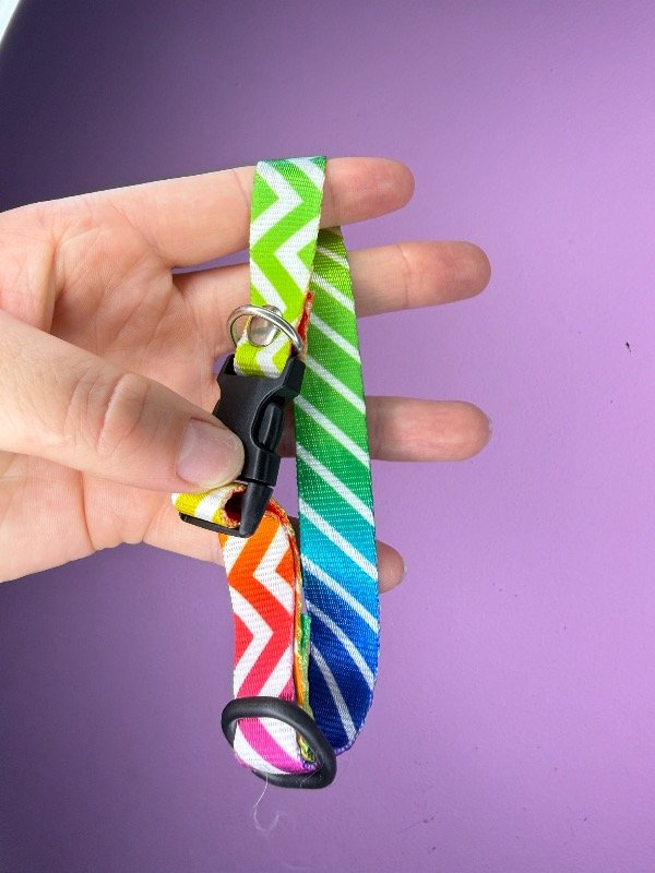 Producto - Collar regulable colores