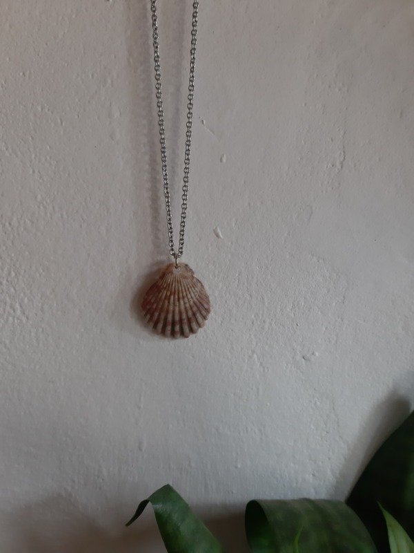 Producto - Cadenita Concha de Mar