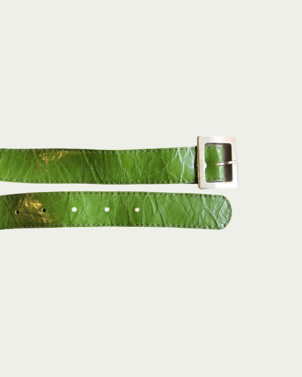Producto - Cinto Green - 1