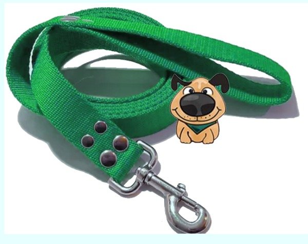 Producto - Correa de perro Urbana 2 mts  de largo  por 3 cm  de ancho reforzada - 3