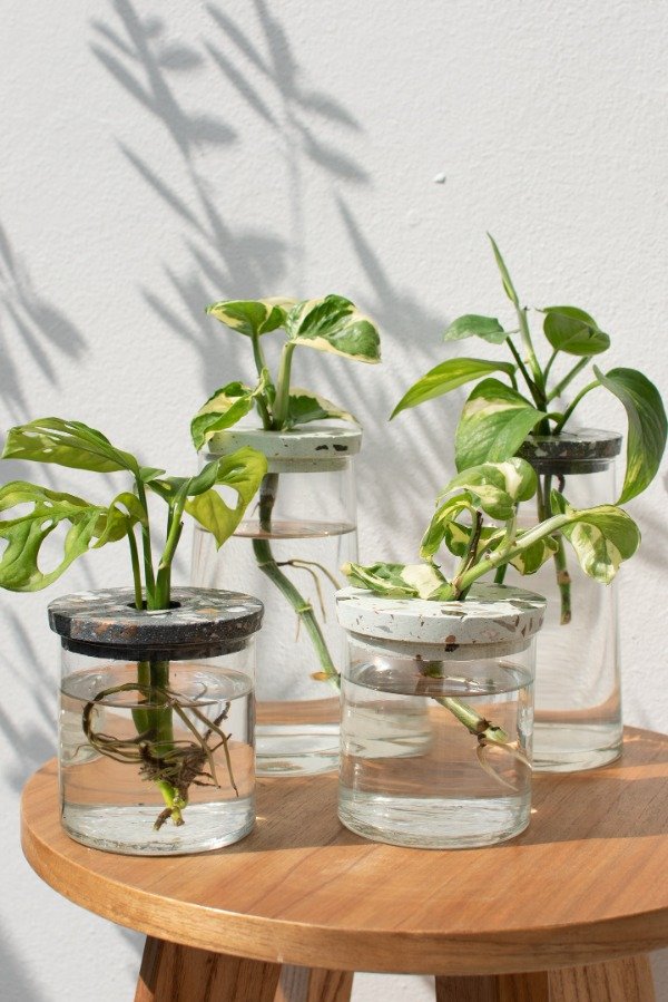 Producto - Hydro Small