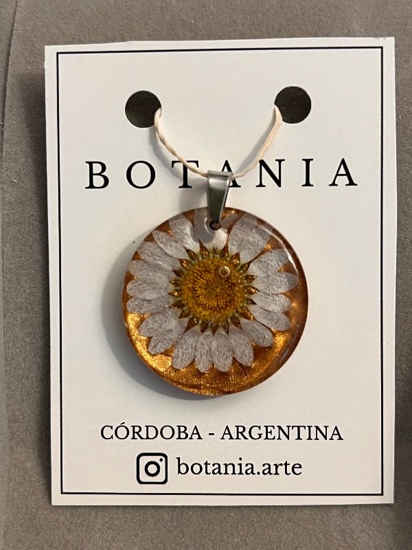 Producto - Margarita 13 - 0