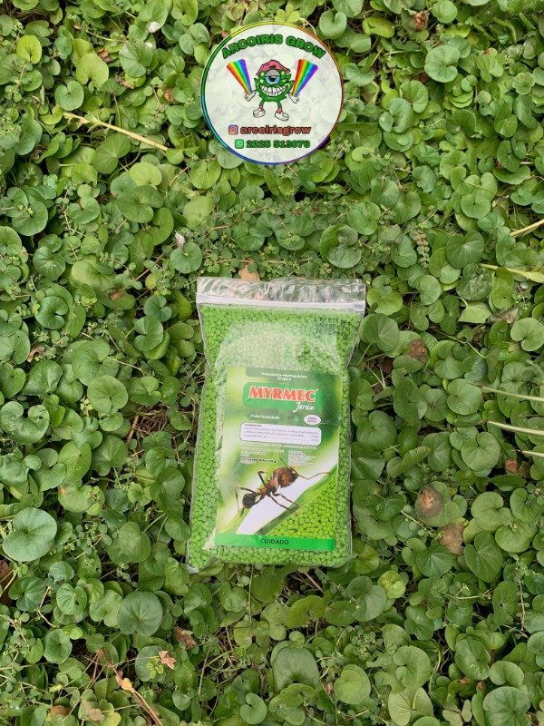 Producto - Cebo Hormigas 200gr