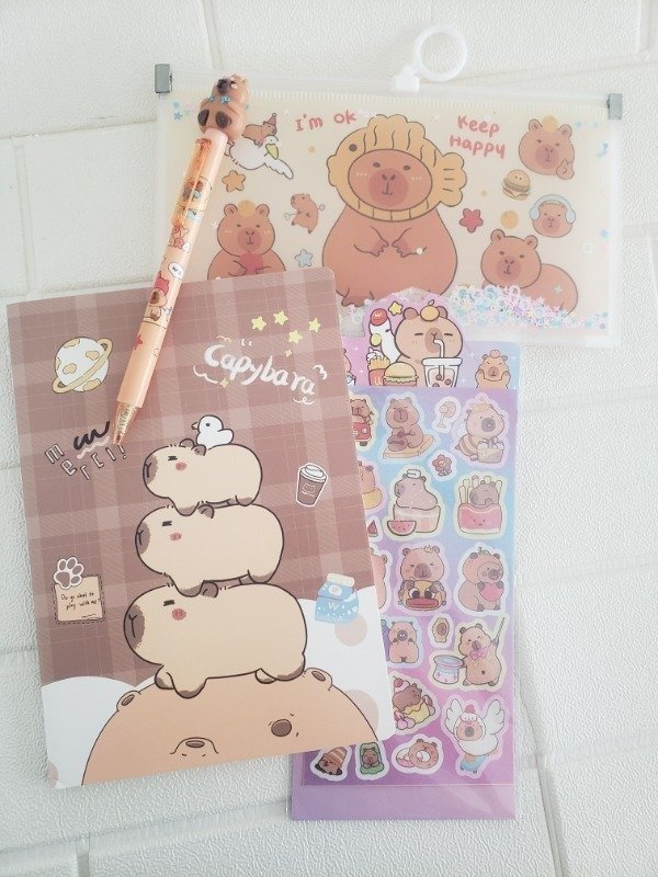 Producto - Combo Capibara 3