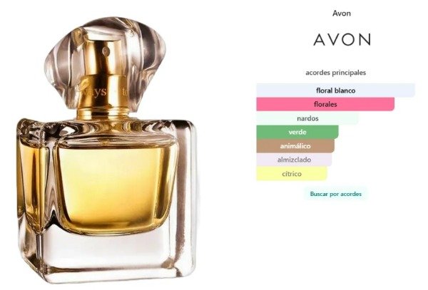 Producto - TODAY CLÁSICO 50 ML - 2