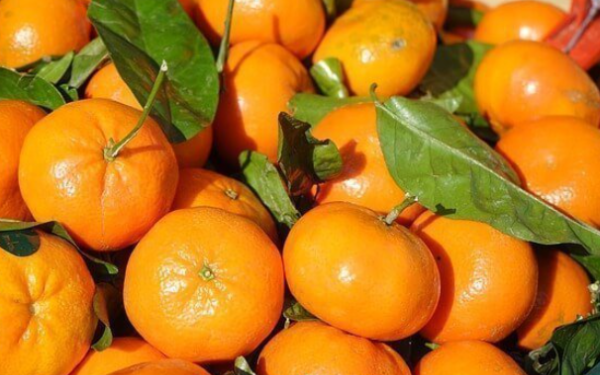 Producto - PROMO - Mandarinas 2kg