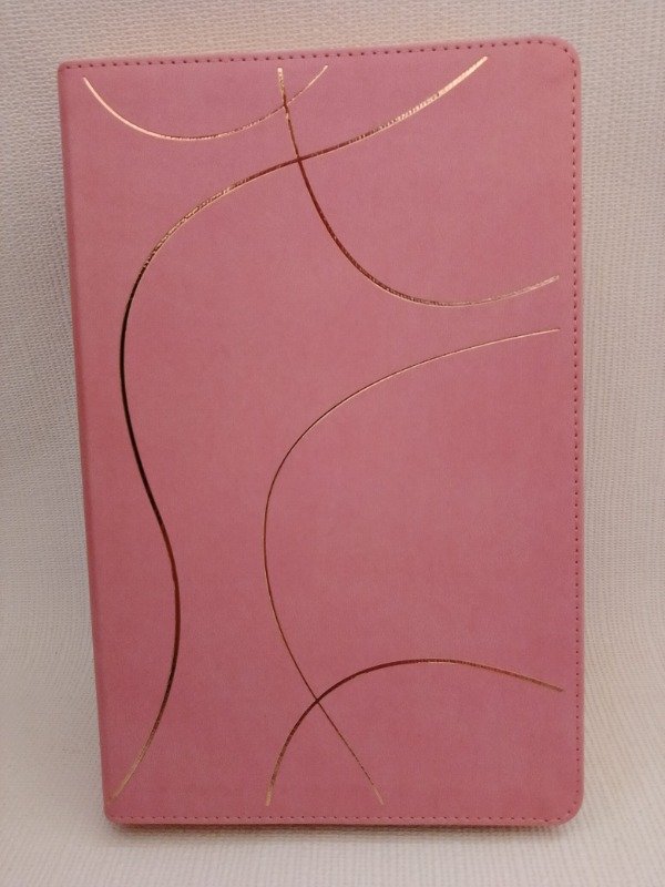 Producto - Biblia de Estudio Nueva Traducción Viviente del Diario Vivir para Jóvenes NTV