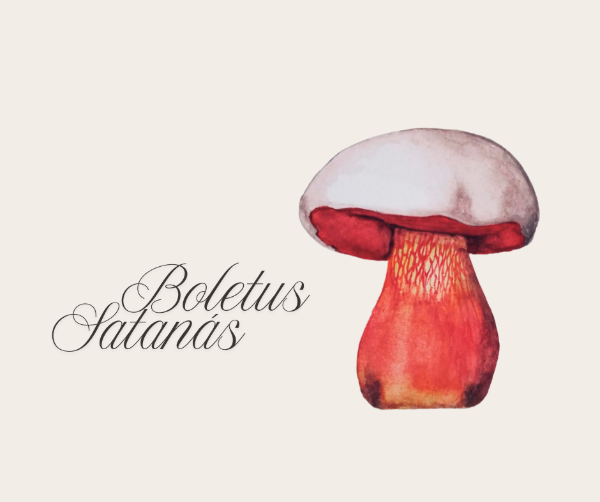 Producto - Ilustración Boleto de Satanás