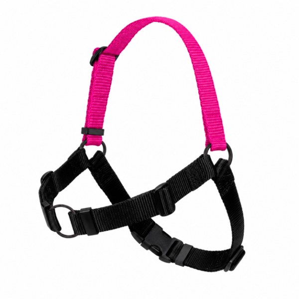 Producto - ARNES ANTI - TIRONES / Large - 4