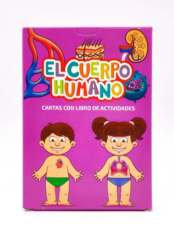 Producto - El Cuerpo Humano - Cartas Educativas