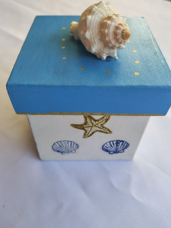 Producto - Noctiluca