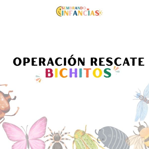 Producto - Juego Operación rescate: Bichitos - 0