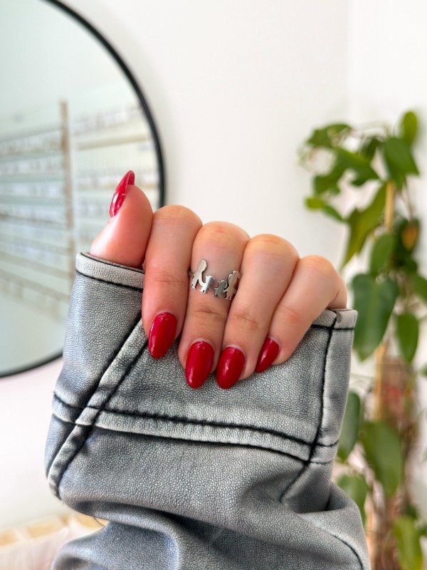 Producto - Anillo acero quirúrgico familia