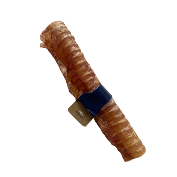 Producto - Snack Bruler Traquea Tubo Largo - Bruler L