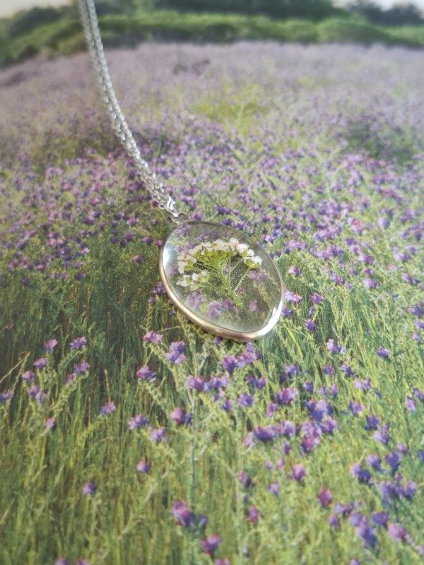 Producto - alba plateada