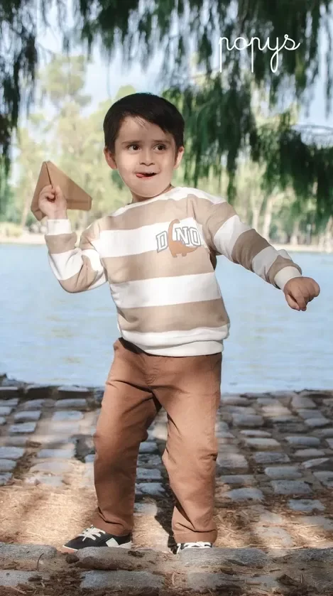 Producto - Buzo Dino