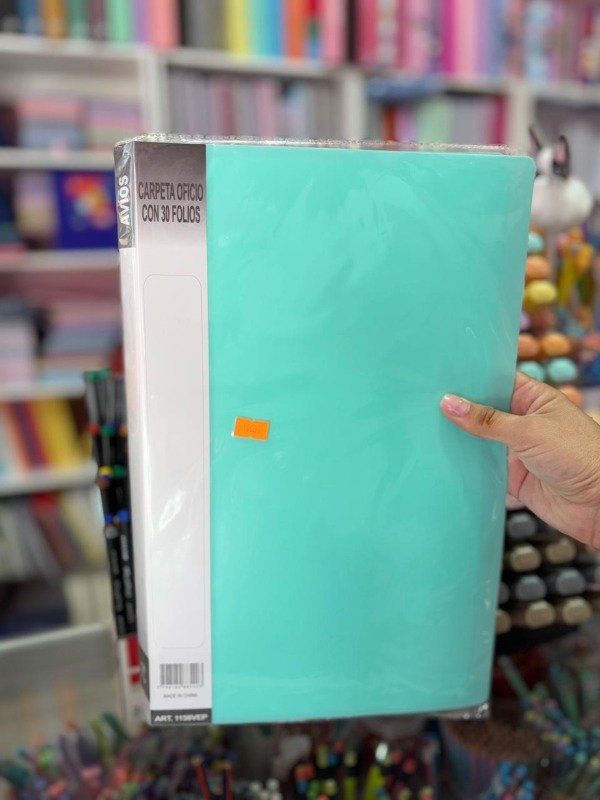 Producto - Carpeta c/ 30 folios oficio - verde pastel