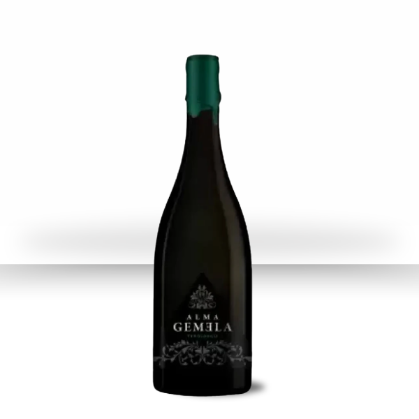 Producto - Alma Gemela Teroldego Chacayes