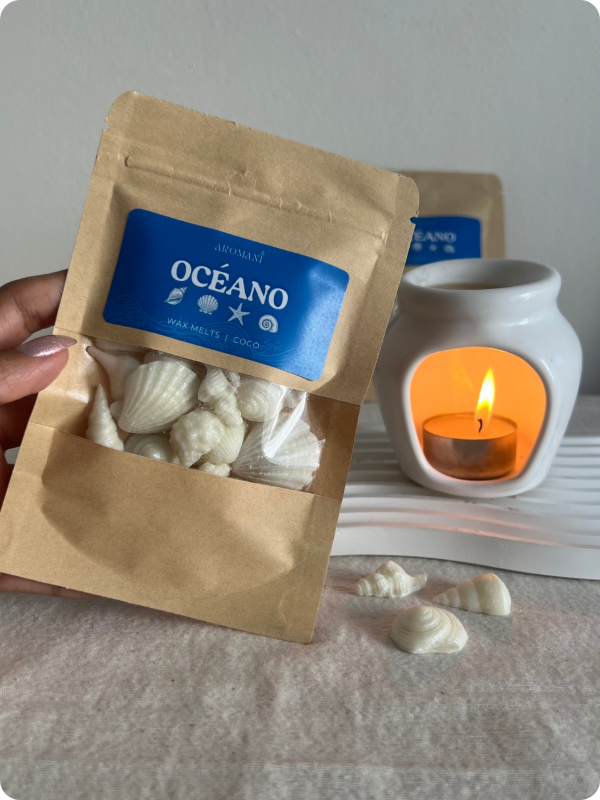 Producto - Kit hornito + Wax Melts - 1