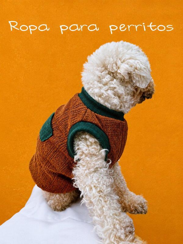 Producto - CURSO CORTO, INDUMENTARIA PARA PERROS PRESENCIAL.