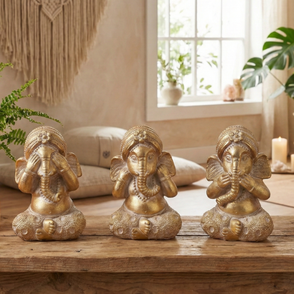 Producto - Ganeshas Tiga