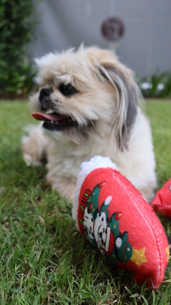 Miniatura de producto - 3