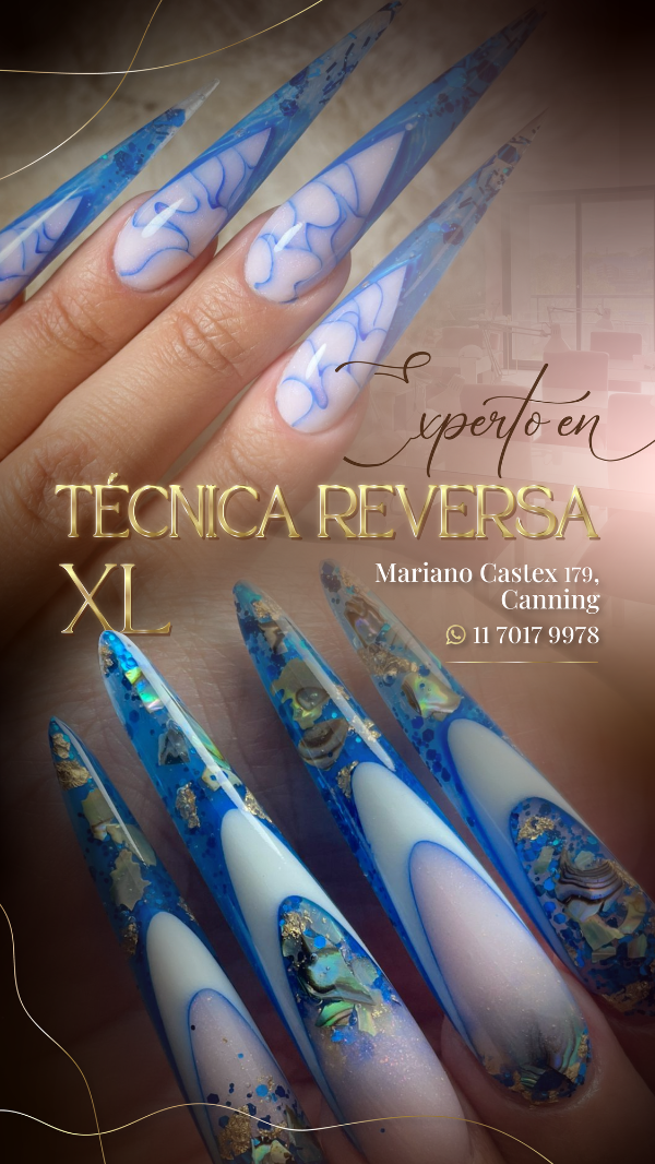 Producto - Experto en Técnica Reversa XL - 0