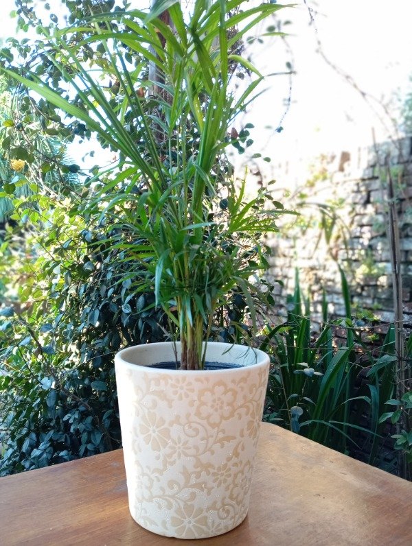 Producto - Maceta de cerámica con decoración