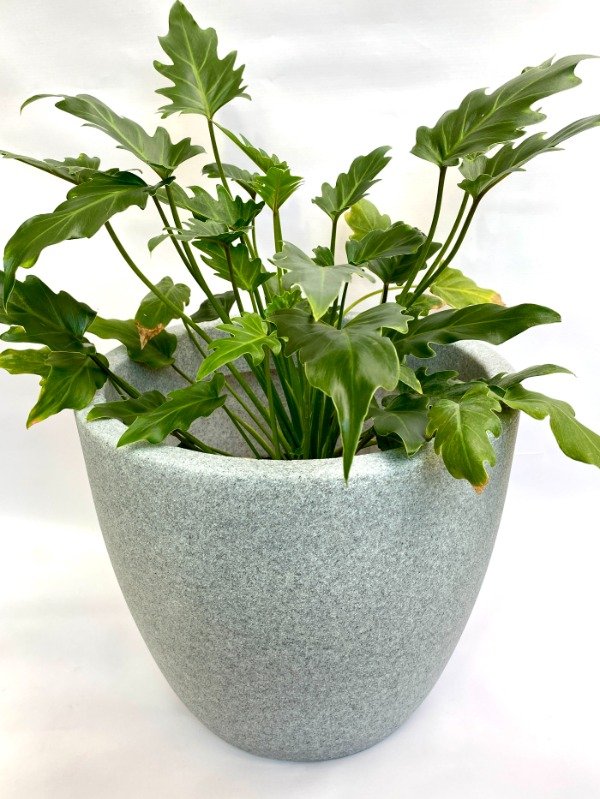 Producto - Maceta Rotomoldeada Andino n40