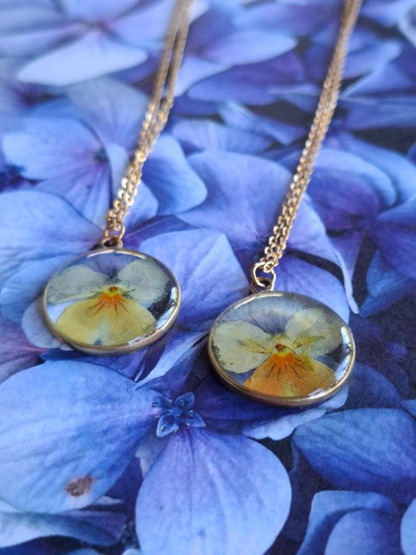 Producto - pensamiento bicolor de oro