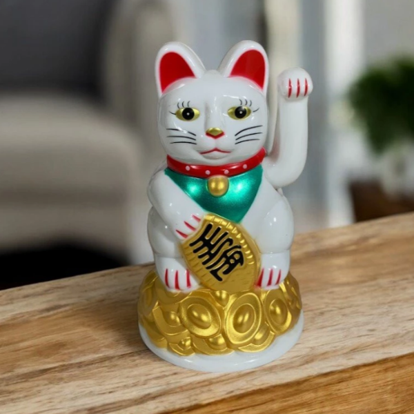 Producto - Gato Atrae Clientes