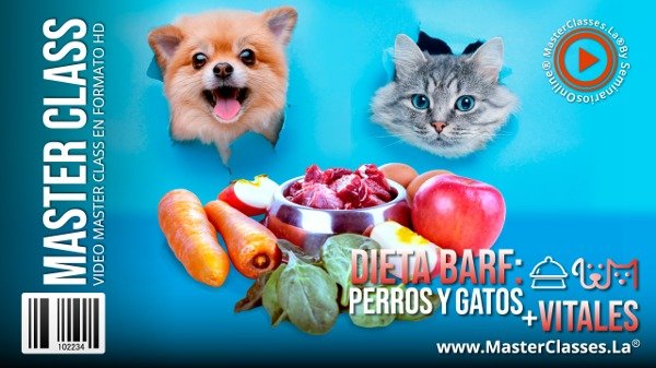 Producto - Dieta BARF para perros y gatos