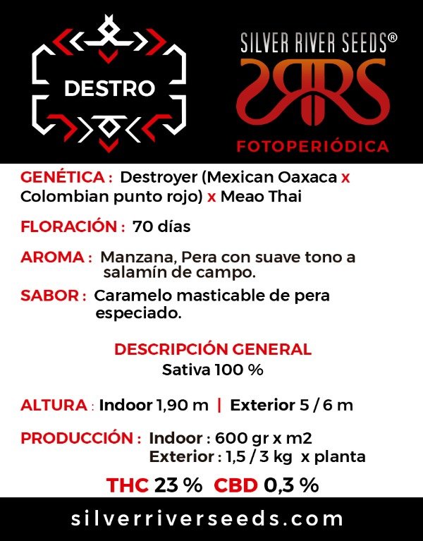 Producto - DESTRO x5 - Silver River Seeds - 1