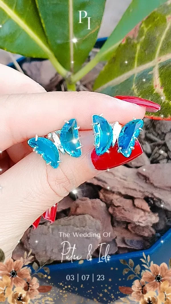 Producto - Pasantes mariposa
