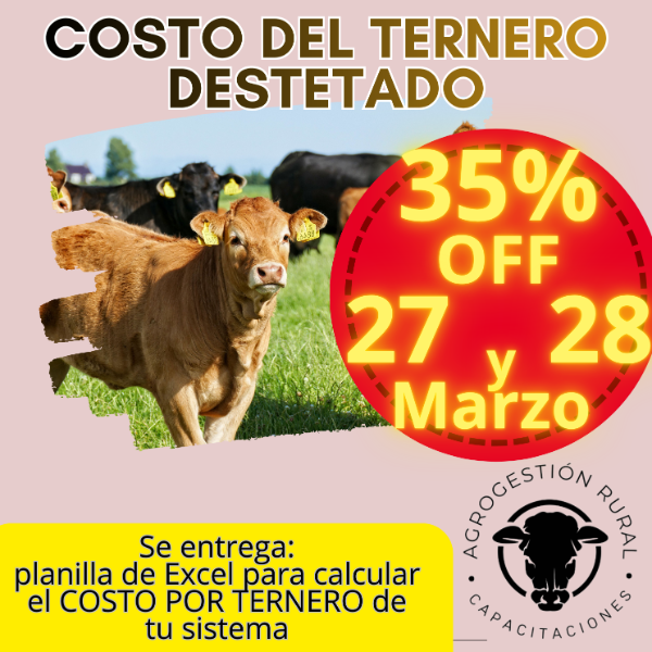 Producto - Taller Online: Costo del Ternero