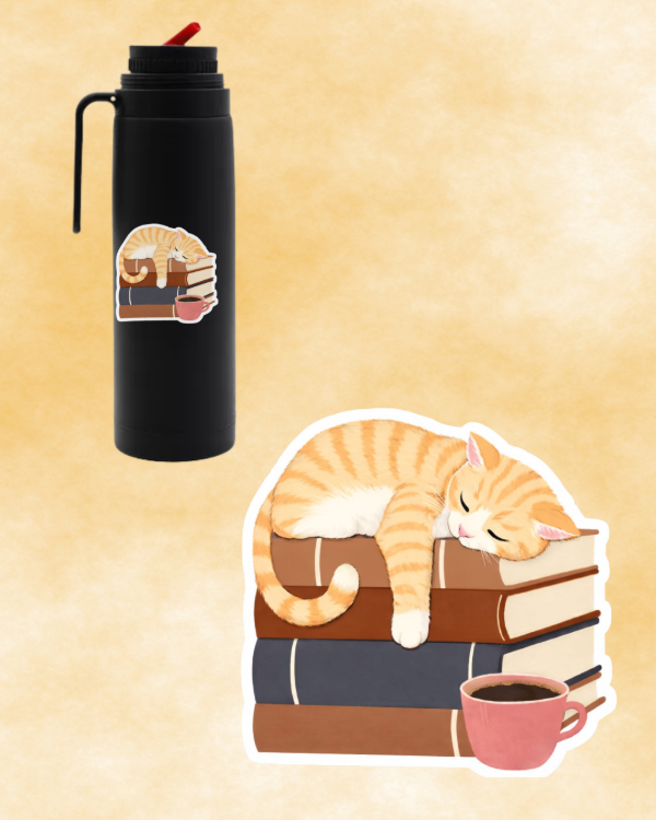 Producto - Gatito + libros