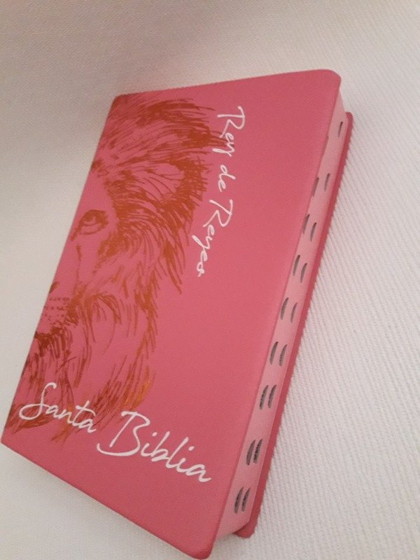 Producto - Biblia Reina Valera 1960 Letra Grande Concordancia Leon Rosa