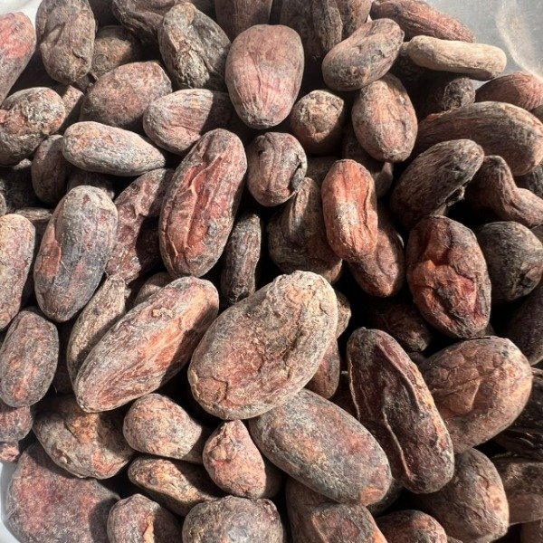 Producto - SEMILLA DE CACAO