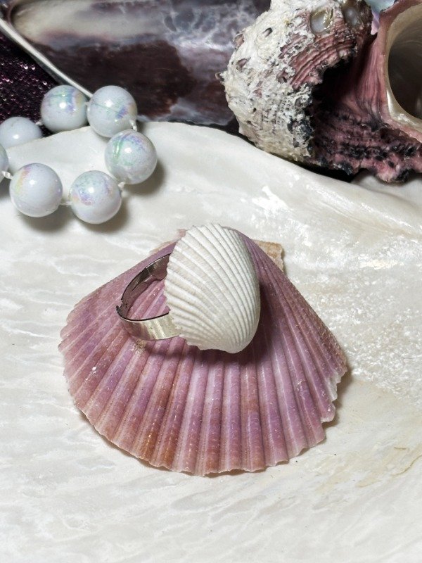 Producto - Anillo del Mar Caracola
