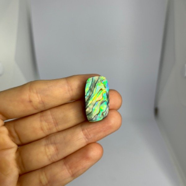 Producto - Cabujón de Ávalon/Haliotis