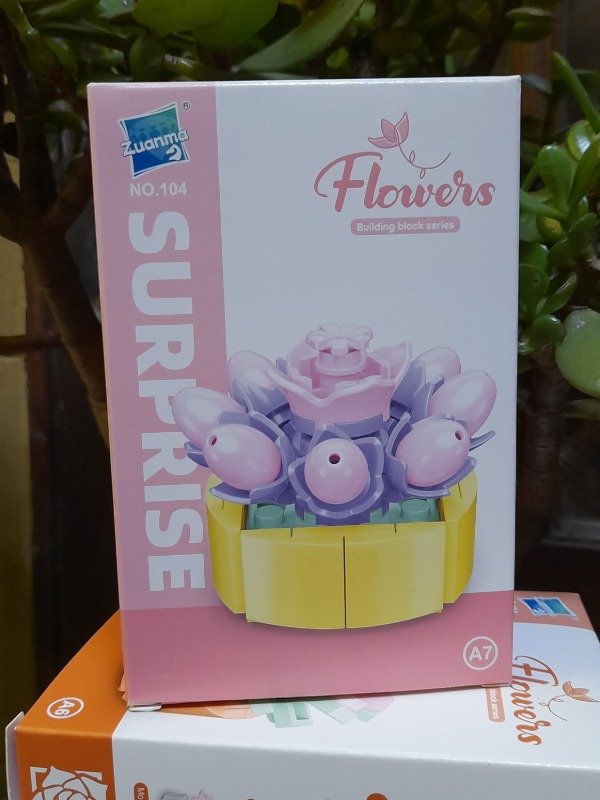 Producto - Peach Egg