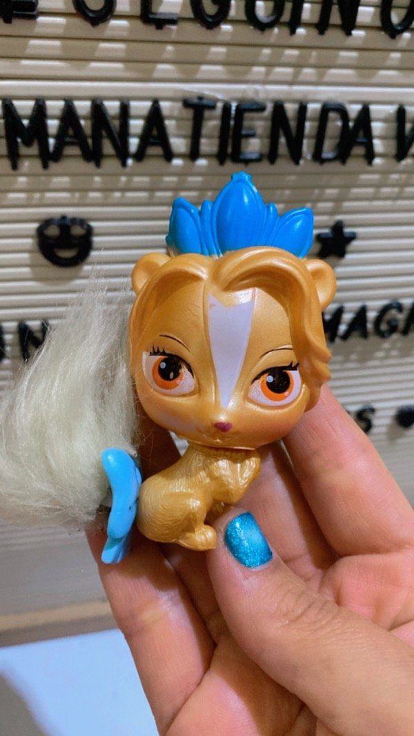 Producto - MASCOTA DE PRINCESA