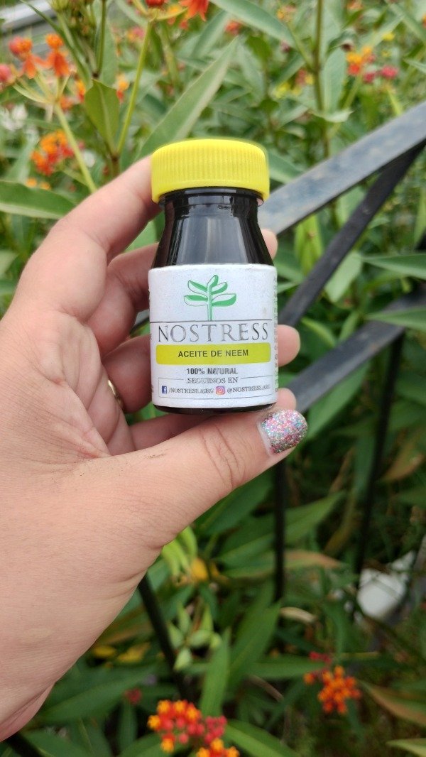 Producto - Aceite de Neem 30ml