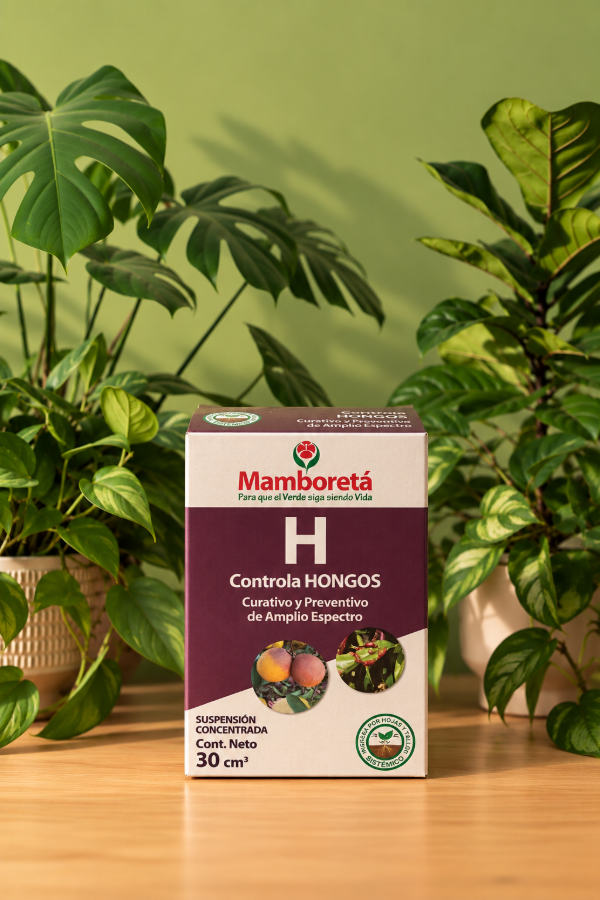 Producto - Controla Hongos Mamboretá - 0