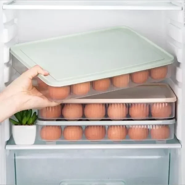 Producto - HUEVERA CON TAPA PLASTICO PVC 30X23X5 24 HUEVOS - 1