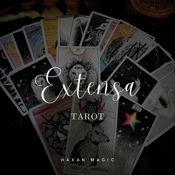 Producto - Lectura Extensa Abierta