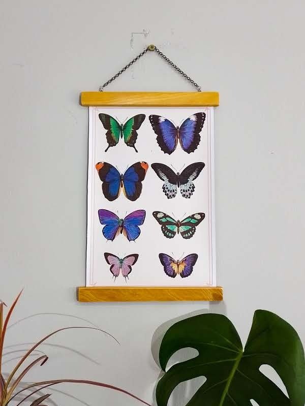 Producto - Cartel Diferentes Mariposas