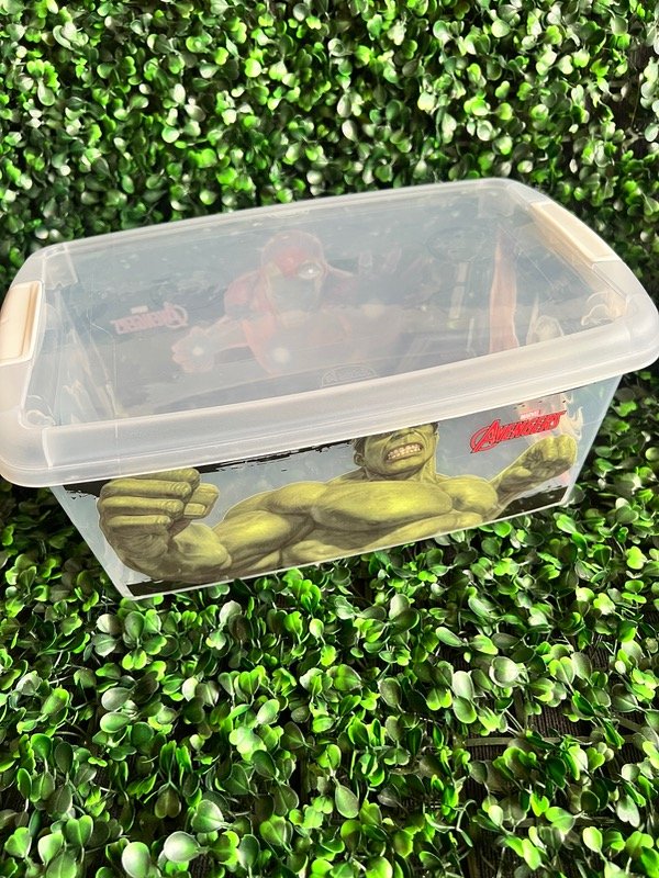 Producto - Caja guarda todo con tapa Disney - 2