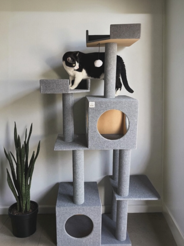Miniatura de producto - 4