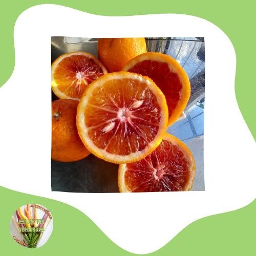 Producto - Naranjas sanguinas - 1kg